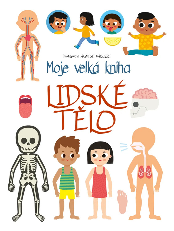 Moje velká kniha: lidské tělo - Agnese Baruzzi (ilustrátor) - kniha z kategorie Encyklopedie