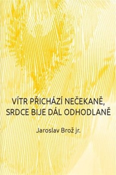 Vítr přichází nečekaně, srdce bije dál odhodlaně - Jaroslav Brož