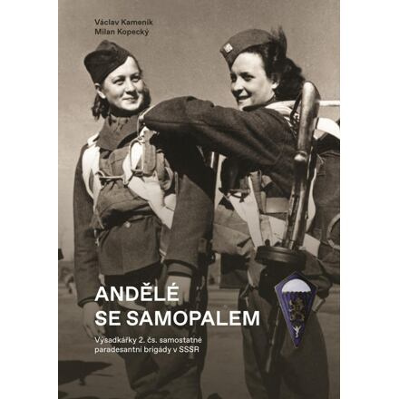 Andělé se samopalem - Václav Kameník, Milan Kopecký