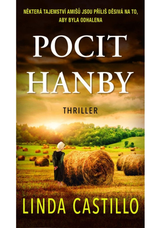 Pocit hanby - Linda Castillo