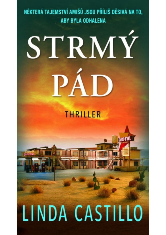 Strmý pád - Linda Castillo