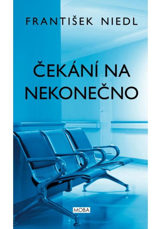 Čekání na nekonečno - František Niedl