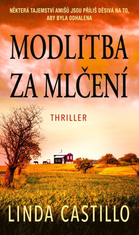 Modlitba za mlčení - Linda Castillo