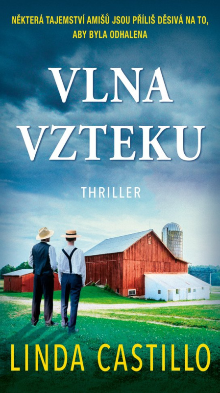 Vlna vzteku -  Linda Castillo