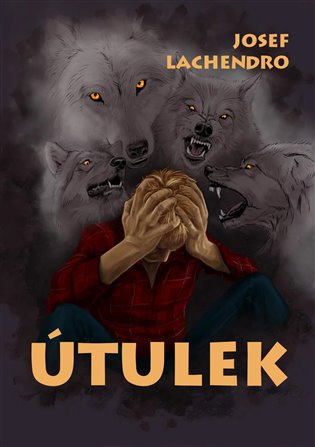 Útulek -  Josef Lachendro