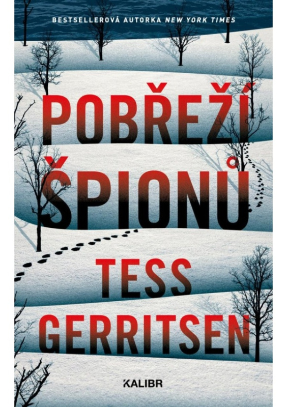 Pobřeží špionů