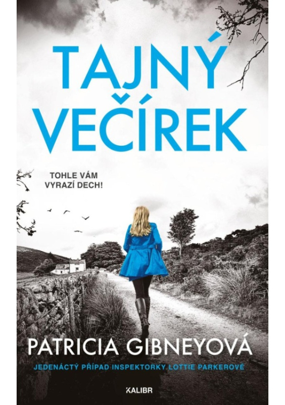 Tajný večírek