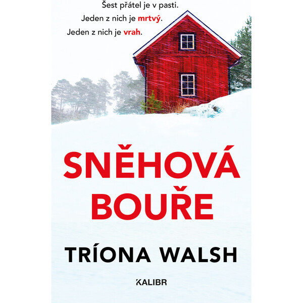 Sněhová bouře