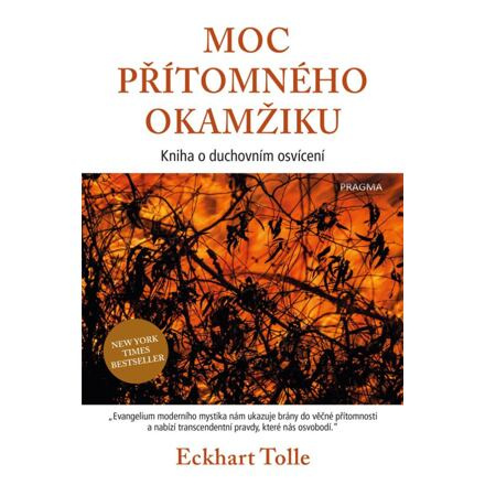 Moc přítomného okamžiku Euromedia Group, a.s.
