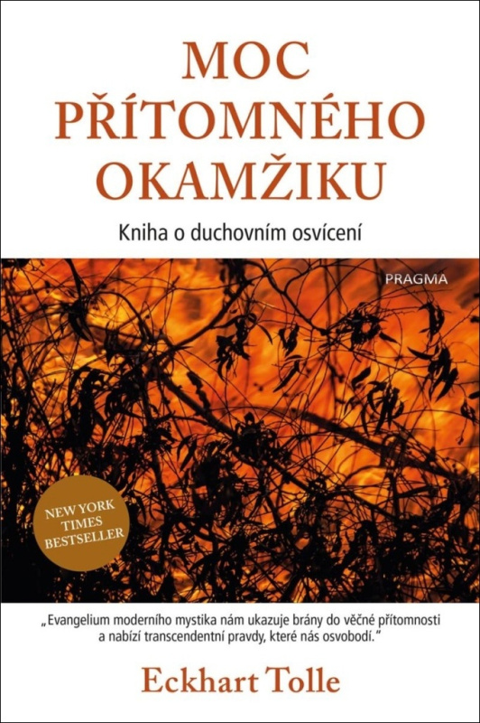 Moc přítomného okamžiku Euromedia Group, a.s.