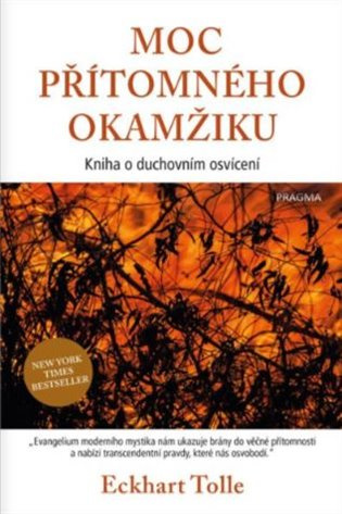 Moc přítomného okamžiku Euromedia Group, a.s.