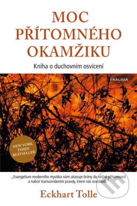 Moc přítomného okamžiku Euromedia Group, a.s.