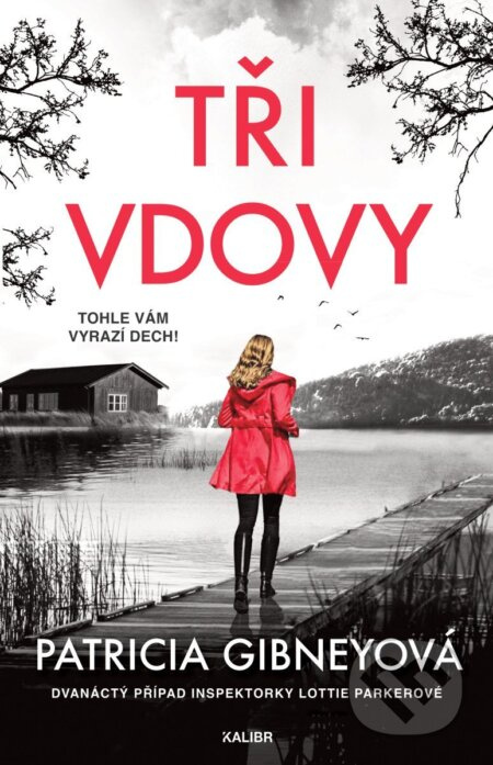 Tři vdovy - Patricia Gibney - kniha z kategorie Detektivky
