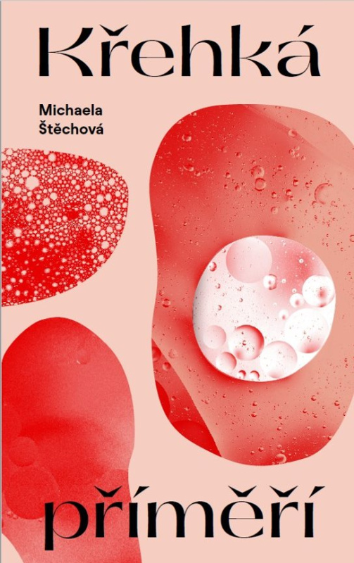 Křehká příměří -  Michaela Štěchová