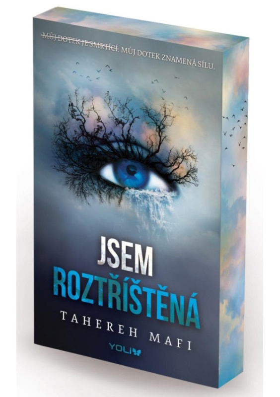 Jsem roztříštěná