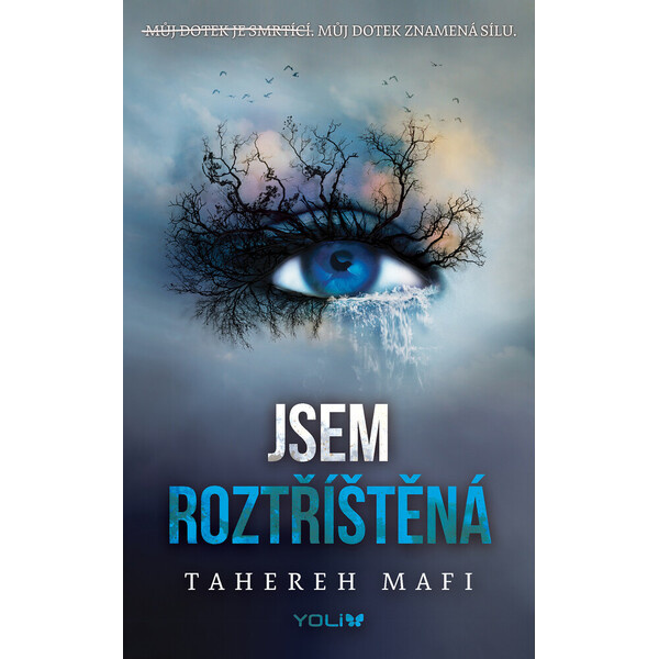 Jsem roztříštěná