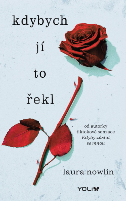 Kdybych jí to řekl - Laura Nowlin - kniha z kategorie Beletrie pro děti