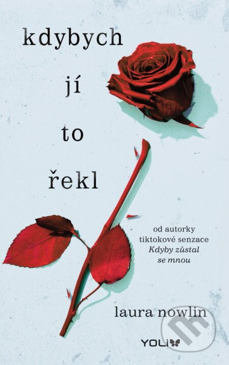 Kdybych jí to řekl - Laura Nowlin - kniha z kategorie Beletrie pro děti