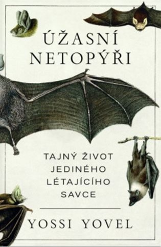 Úžasní netopýři - Yossi Yovel - kniha z kategorie Biologie