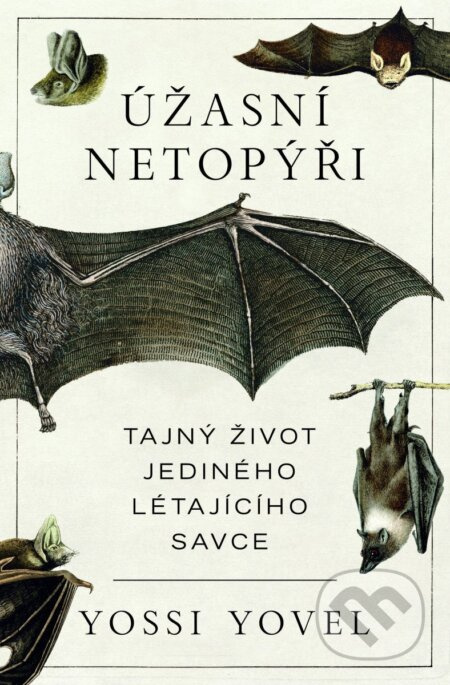 Úžasní netopýři - Yossi Yovel - kniha z kategorie Biologie