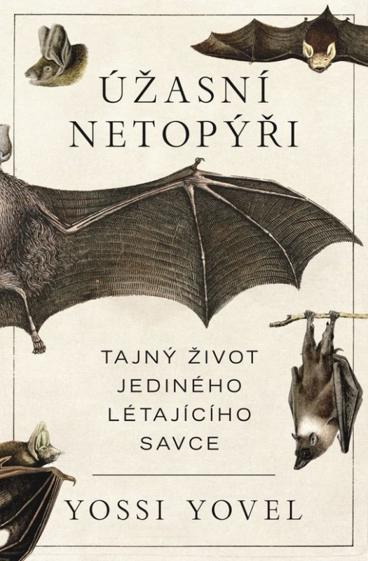 Úžasní netopýři -  Yosef Yovel