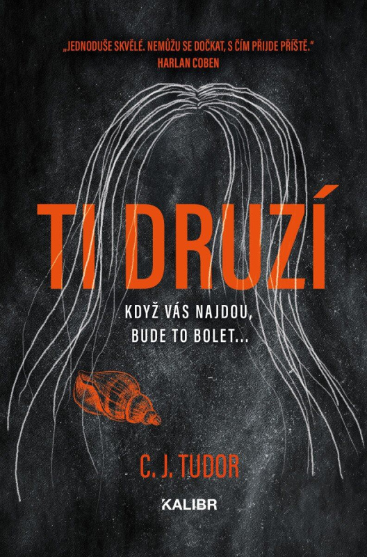 Ti druzí - C.J. Tudor - kniha z kategorie Thrillery