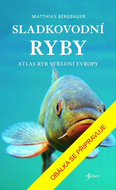 Sladkovodní ryby - Matthias Bergbauer - kniha z kategorie Biologie