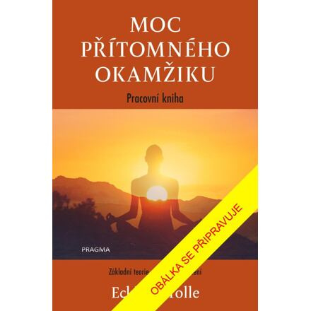 Moc přítomného okamžiku – pracovní kniha