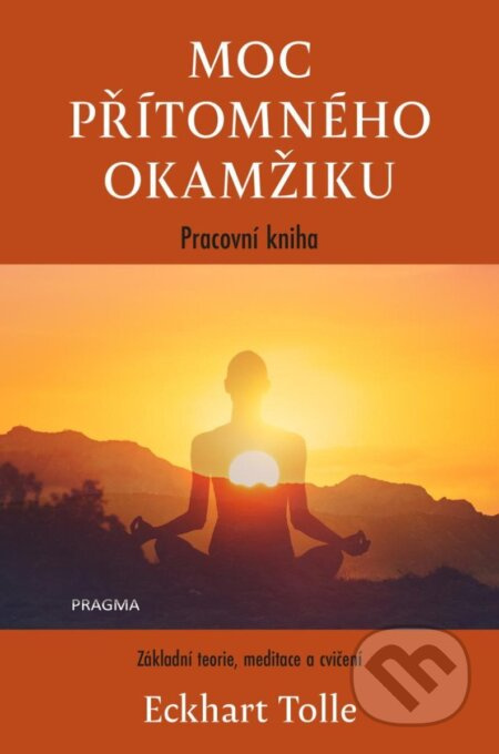 Moc přítomného okamžiku – pracovní kniha