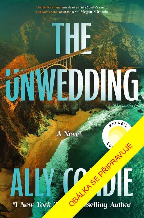 Sliby a lži - Ally Condie - kniha z kategorie Thrillery