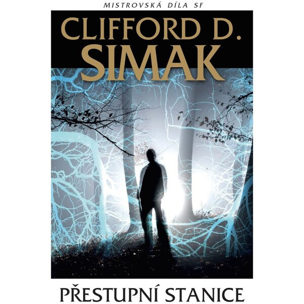 Přestupní stanice