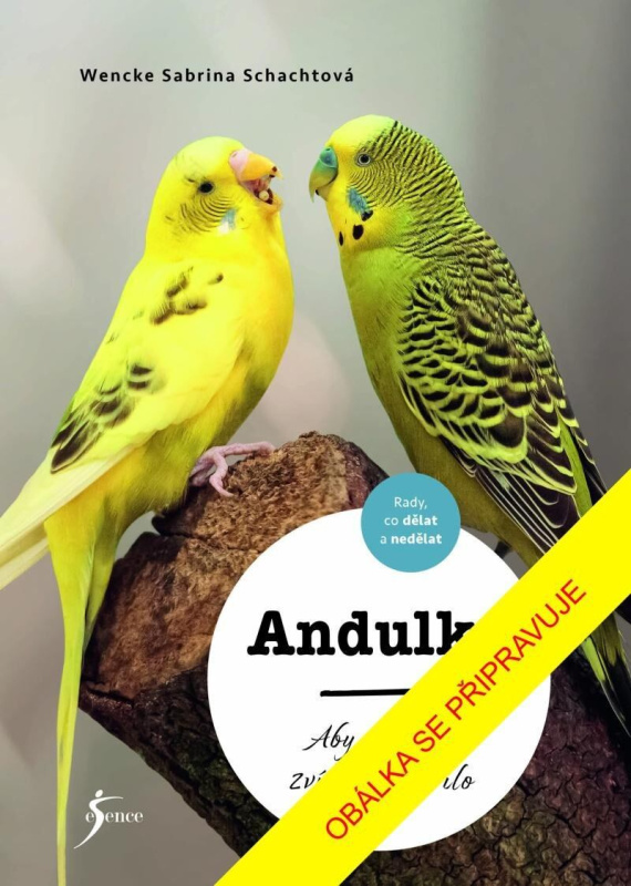 Andulky - Wencke Sabrina Schacht - kniha z kategorie Hobby