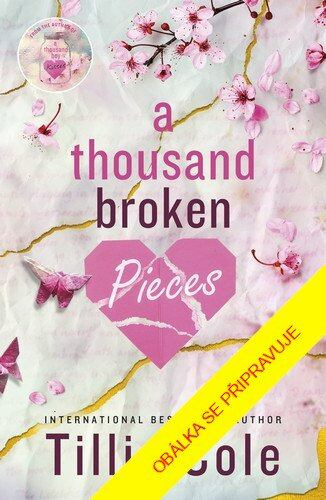 Na tisíc kousků - Tillie Cole - kniha z kategorie Beletrie pro děti