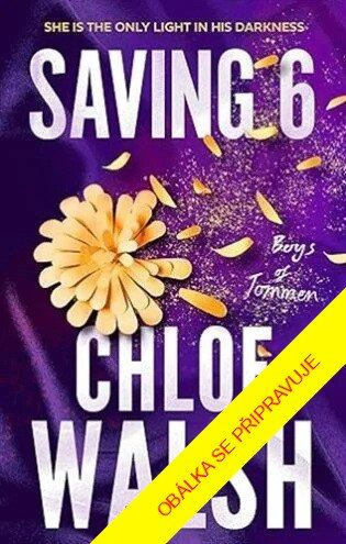 Saving 6 - Chloe Walsh - kniha z kategorie Romantická
