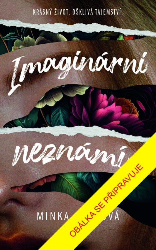 Imaginární neznámí - Minka Kent - kniha z kategorie Thrillery