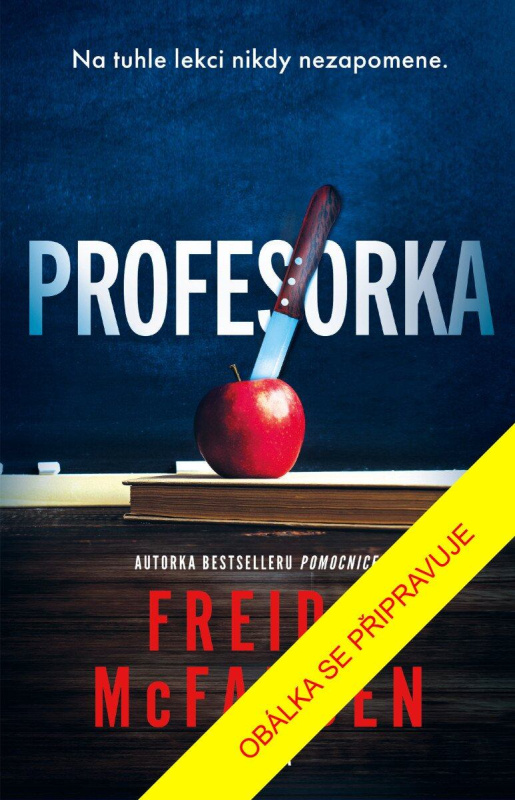 Profesorka - Freida McFadden - kniha z kategorie Thrillery