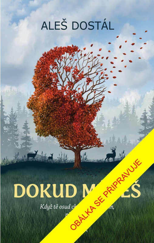 Dokud můžeš - Aleš Dostál - kniha z kategorie Beletrie