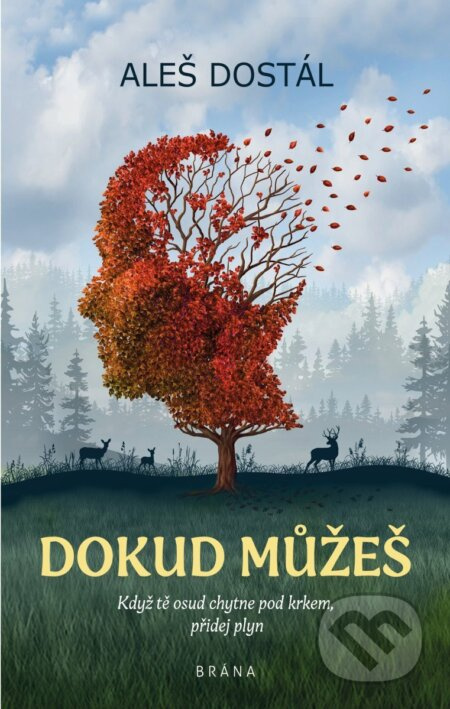 Dokud můžeš - Aleš Dostál - kniha z kategorie Beletrie