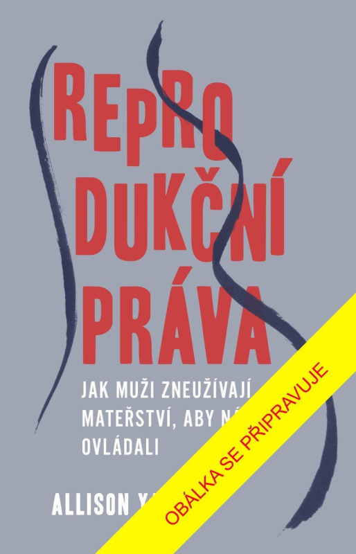 Reprodukční práva (Jak muži ukradli ženám porody) - Allison Yarrow - kniha z kategorie Humanitní a společenské vědy