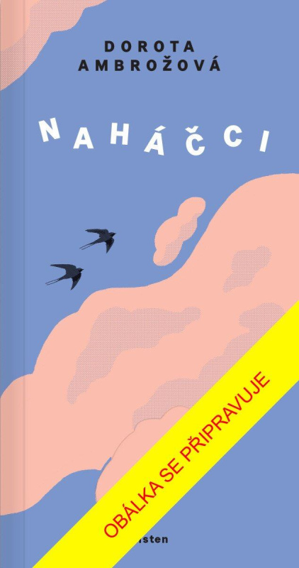 Naháčci - Dorota Ambrožová - kniha z kategorie Společenská beletrie
