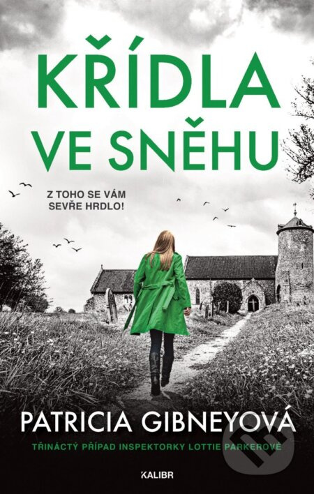 Křídla ve sněhu - Patricia Gibney - kniha z kategorie Detektivky