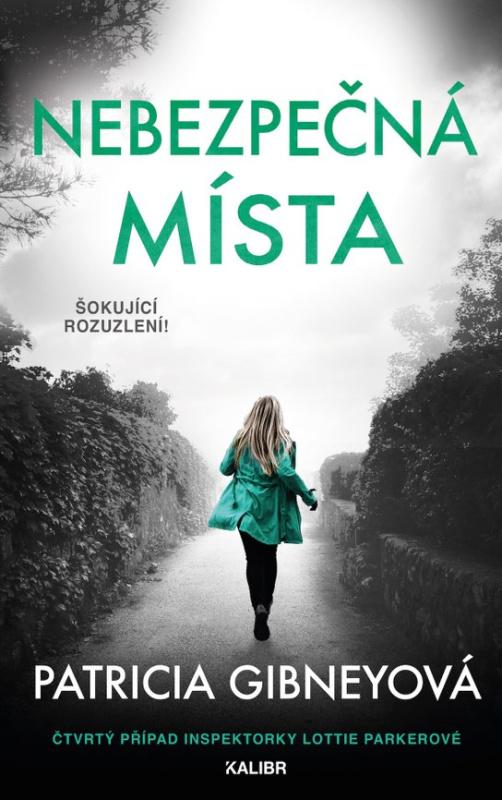 Nebezpečná místa