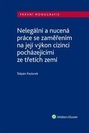 Nelegální a nucená práce se zaměřením na její výkon - kniha z kategorie Humanitní a společenské vědy