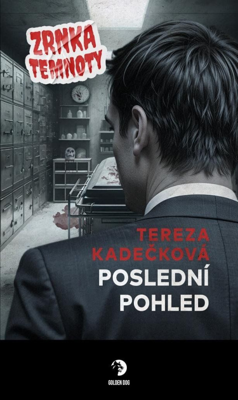 Poslední pohled - Zrnka temnoty 22 - Tereza Kadečková - kniha z kategorie Detektivky, thrillery a horory