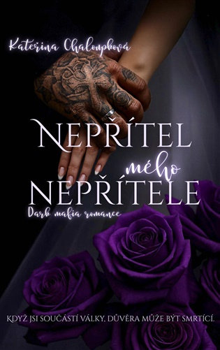 Nepřítel mého nepřítele -  Kateřina Chaloupková