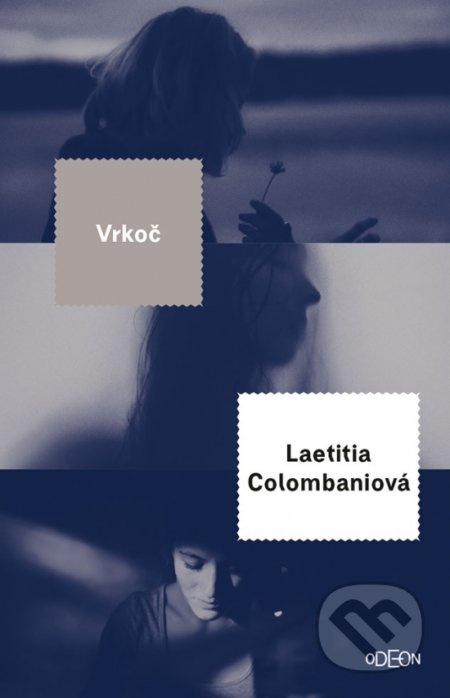 Vrkoč - Laetitia Colombani - kniha z kategorie Společenská beletrie