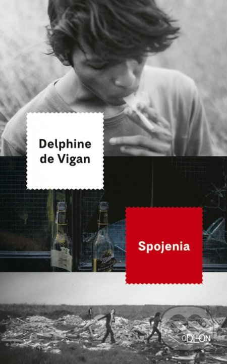 Spojenia - Delphine de Vigan - kniha z kategorie Společenská beletrie