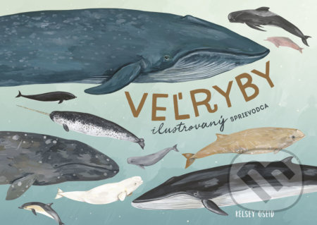 Veľryby: ilustrovaný sprievodca - Kelsey Oseid - kniha z kategorie Naučné knihy