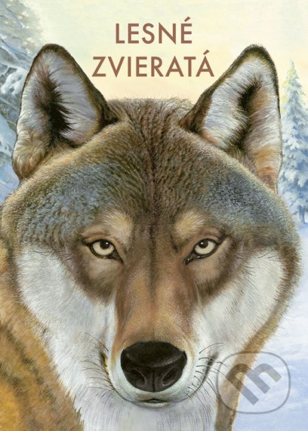 Lesné zvieratá - Holger Haag, Manfred Rohrbeck (ilustrátor) - kniha z kategorie Naučné knihy