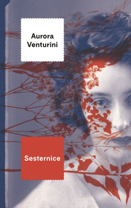 Sesternice - Aurora Venturini - kniha z kategorie Společenská beletrie